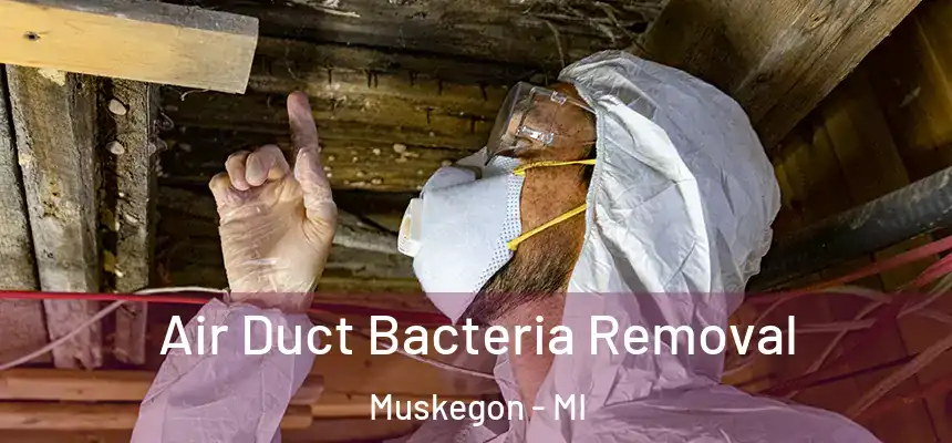  Air Duct Bacteria Removal Muskegon - MI