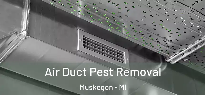  Air Duct Pest Removal Muskegon - MI