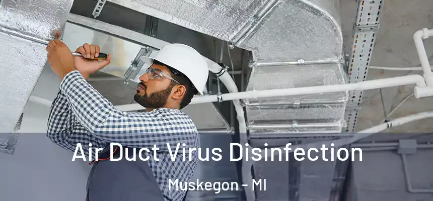  Air Duct Virus Disinfection Muskegon - MI