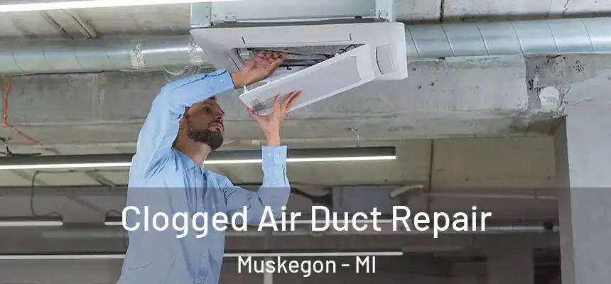  Clogged Air Duct Repair Muskegon - MI