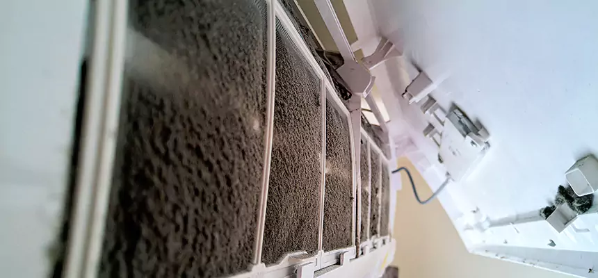 Preventive Air Duct Bacteria Removal in Muskegon