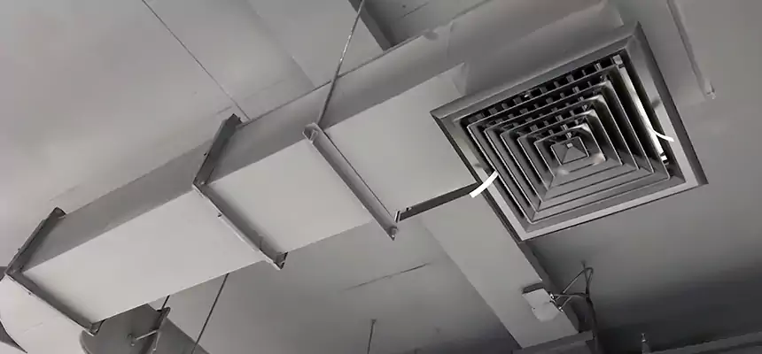 Restorative Allergy Relief Vent Cleaning – Coil, Blower & Housing Detail in Muskegon