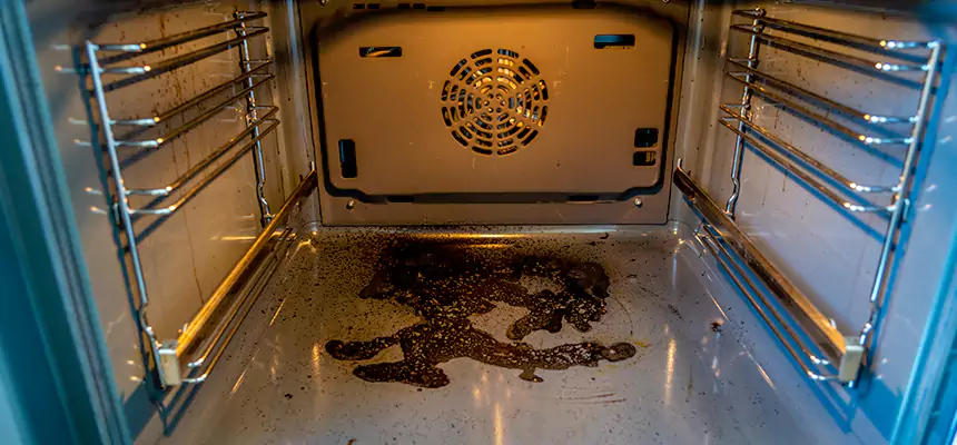 Our Dryer Vent Mold Cleaning Services in Muskegon, MI