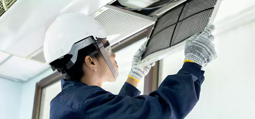 Our Mold & Mildew Removal from Air Ducts Services in Muskegon, MI