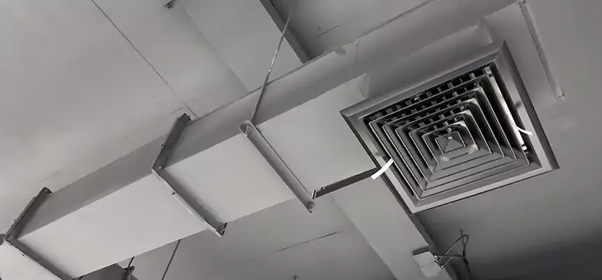 Our Rodent Droppings In Vents Services in Muskegon, MI