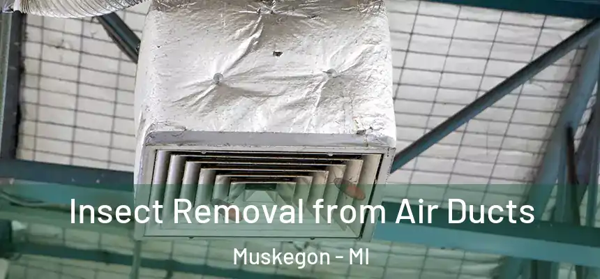  Insect Removal from Air Ducts Muskegon - MI