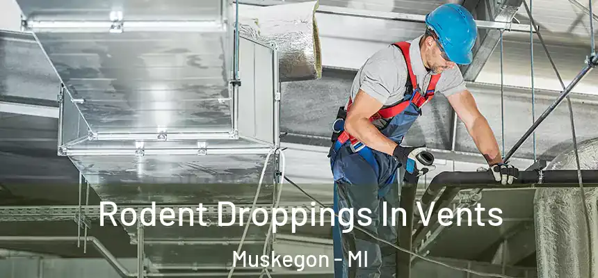  Rodent Droppings In Vents Muskegon - MI