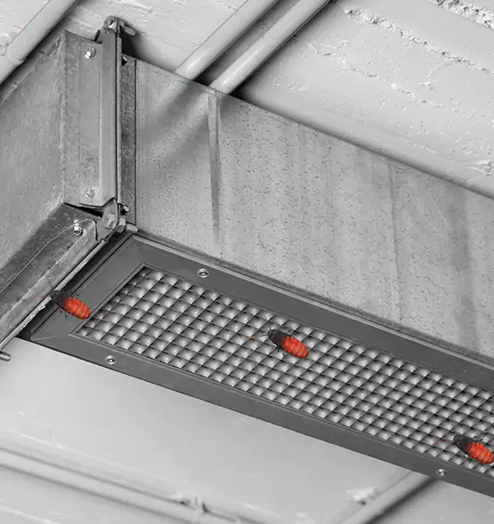 About Air Duct Cockroach Removal in Muskegon, MI