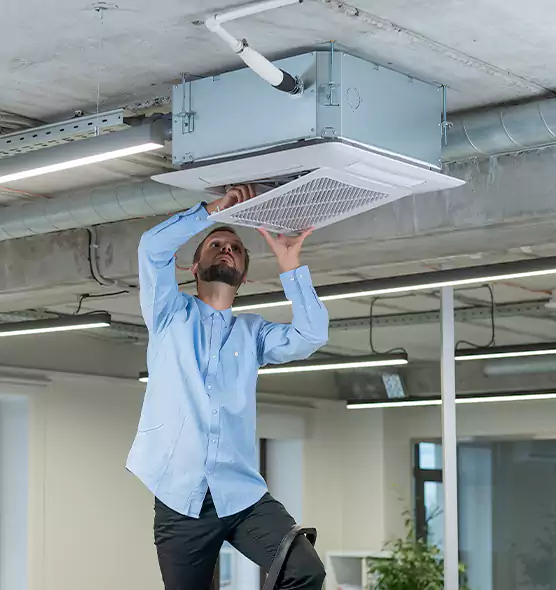 Advanced Rodent Droppings In Vents in Muskegon, MI