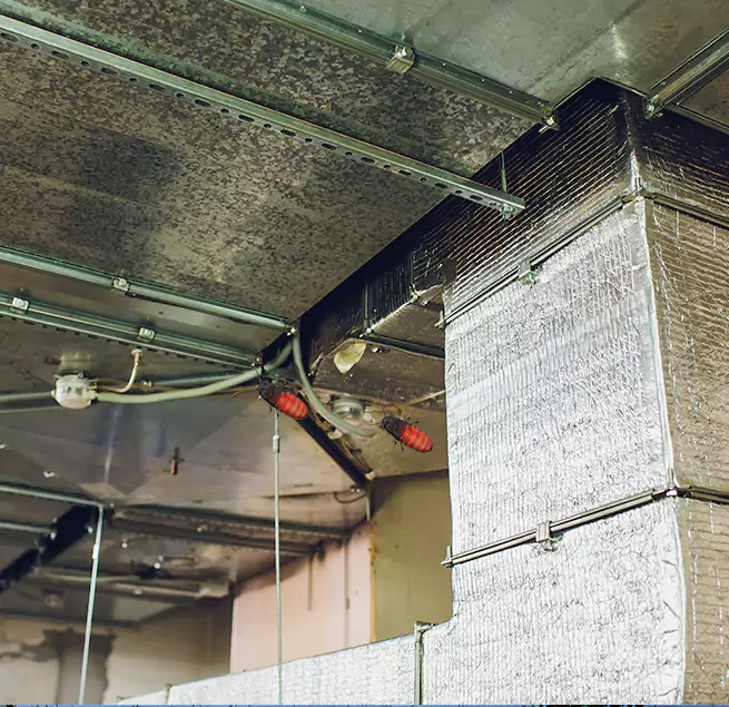 Why Homeowners & Businesses Trust Us in Muskegon, MI?