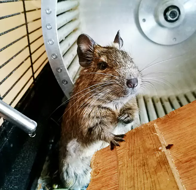 Why Homeowners & Businesses Trust Us Muskegon, MI