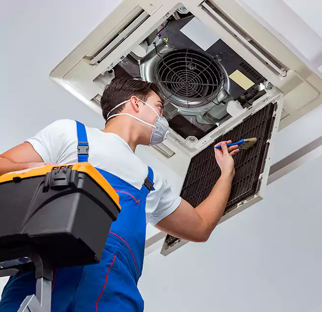 Why Homeowners & Businesses Trust Us in Muskegon, MI