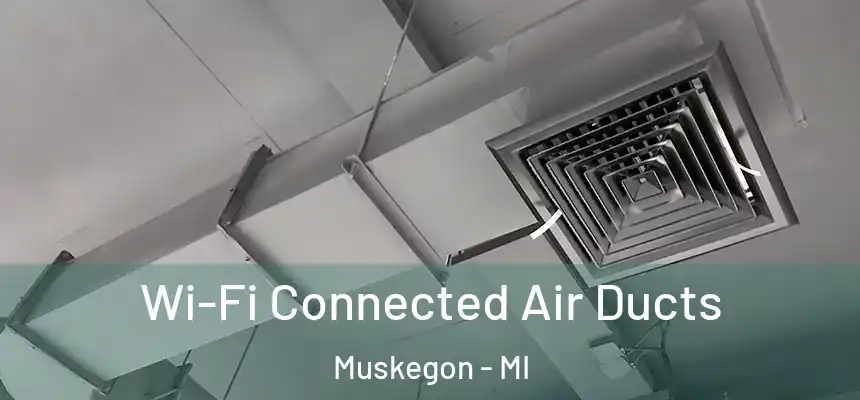  Wi-Fi Connected Air Ducts Muskegon - MI